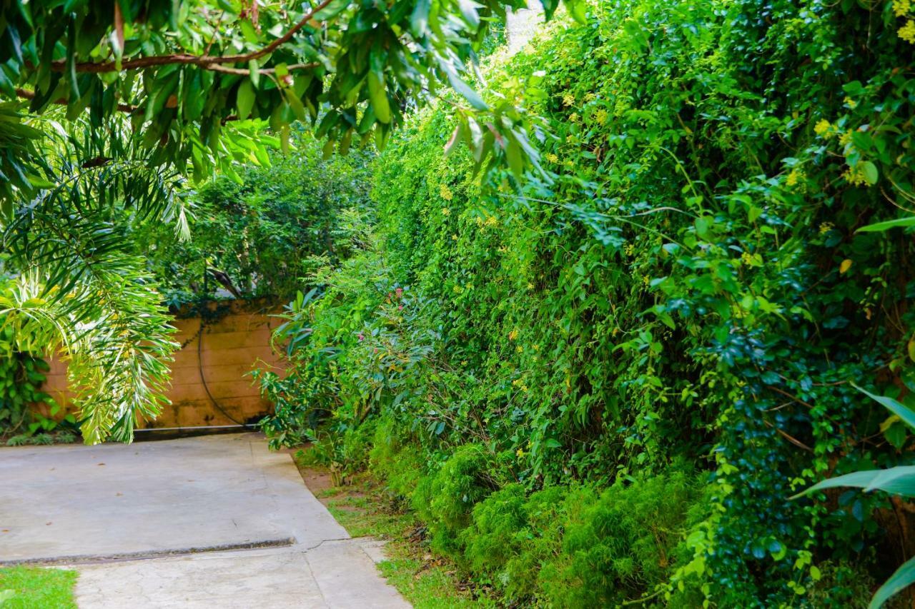 Homestay Garden Rest Kandy Bagian luar foto